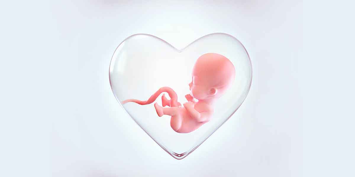 Fetal Reduction سحب جنين